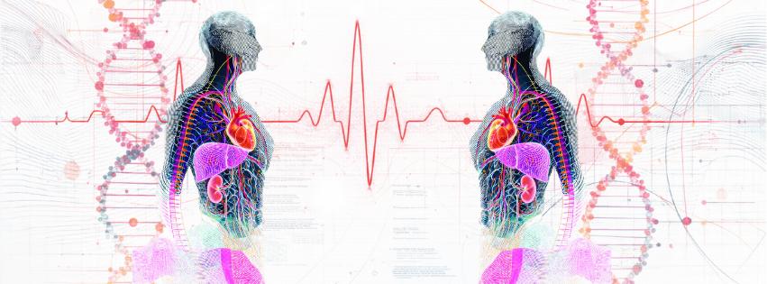 Sy.Me.Di. Systemic Metabolic Disorders București